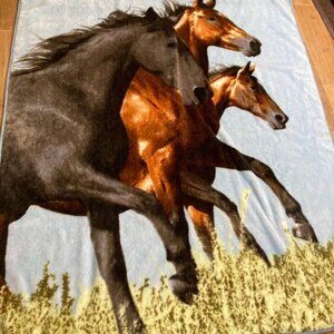Shavel Plush 60" x 80" Blanket Brown Black Three Running Horses Blue Trim